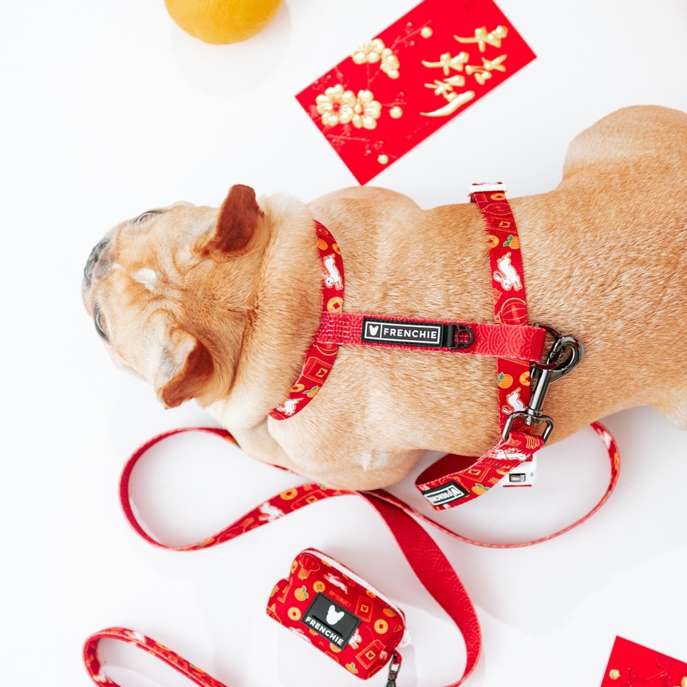 Frenchie Bulldog - Harness, Leash, Poop Bag - Set of THREE - Chinese New Year